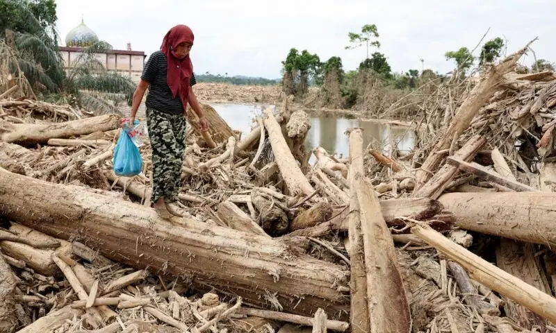Indonesia Faces Starvation Threat as Flood Death Toll Exceeds 900