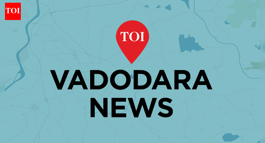 IndiGo Flight Cancellations Continue; AI Expands Services in Vadodara