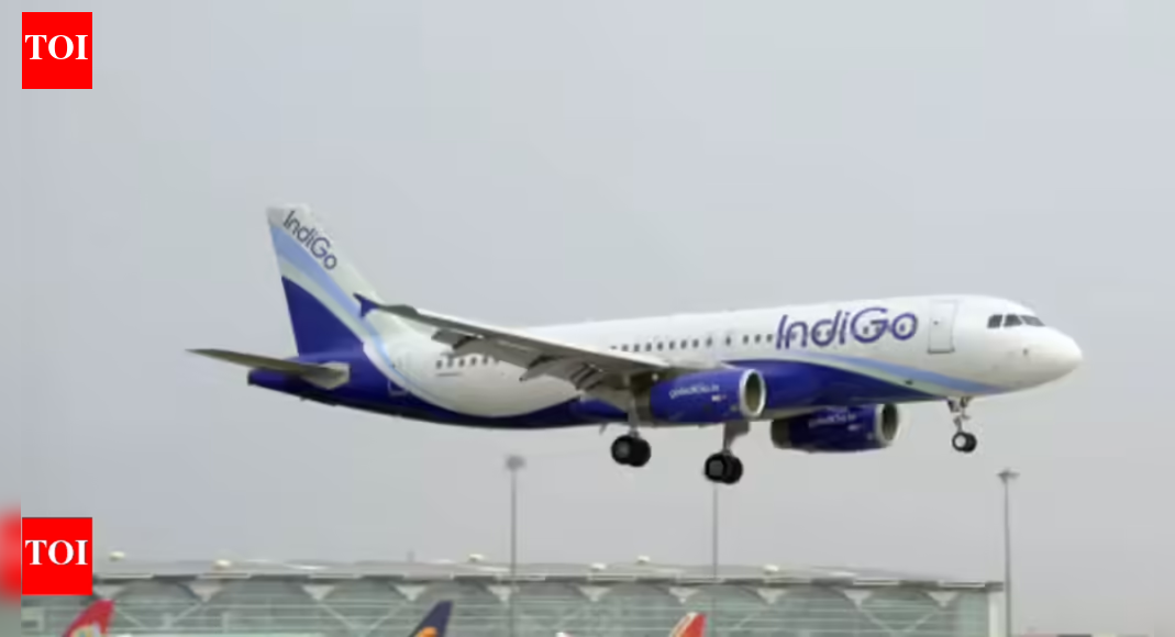Govt Considers Allocating 5% of IndiGo’s Flight Shares to Competing Airways