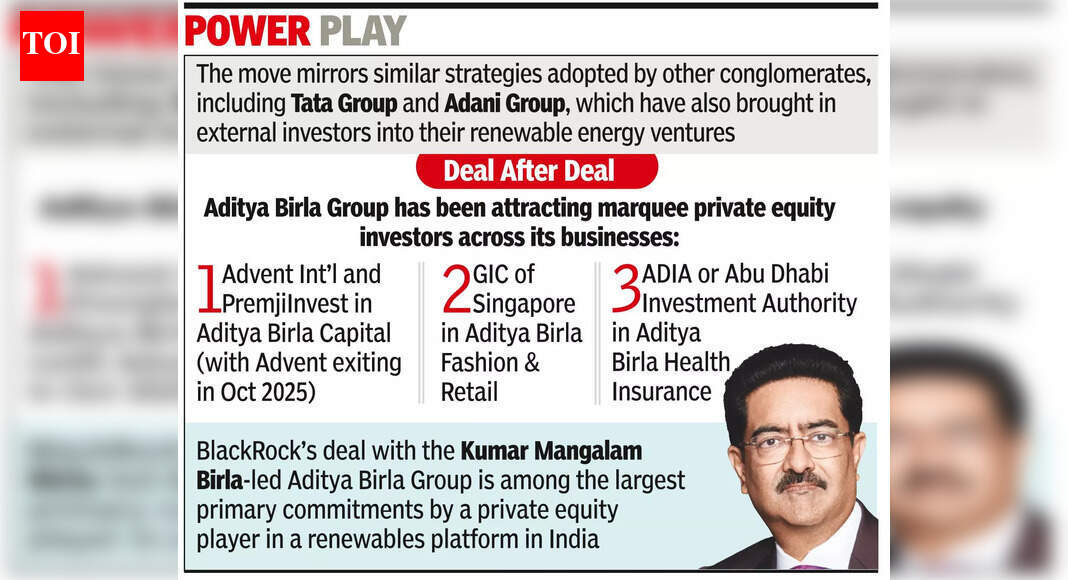 BlackRock Invests ₹3,000 Crore in Birla’s Renewable Power Division