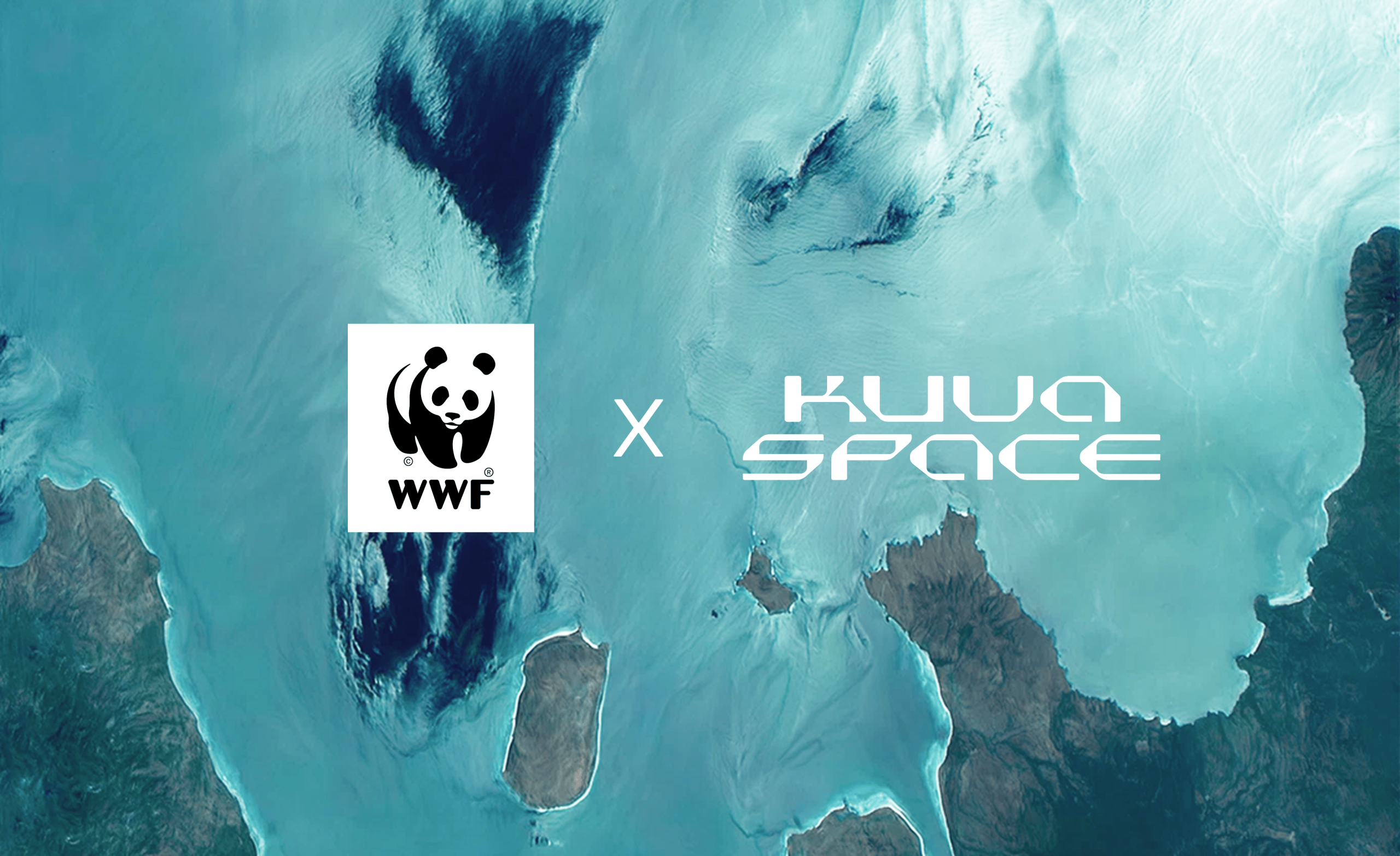 Kuvaspace Collaborates with WWF-Indonesia to Innovate Blue Carbon Verification Utilizing Hyperspectral Satellite tv for pc Know-how