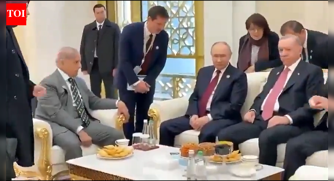 Pakistan PM Shehbaz Sharif’s Transient Encounter at Putin-Erdogan Summit