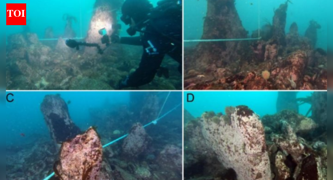Historic Underwater Wall Found off French Coast Reveals Insights into Coastal Societies