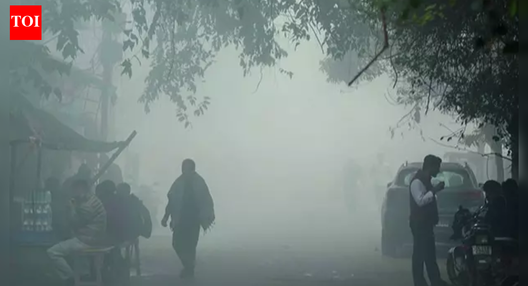 Delhi’s Air Disaster: Second Worst December Day on Document for Air High quality