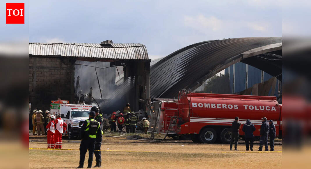 Non-public Jet Crash in Mexico: 7 Useless After Emergency Touchdown Sparks Rooftop Hearth and Evacuations