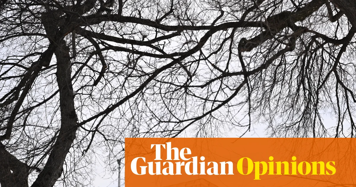 Implications of the Supreme Court docket’s TikTok Choice