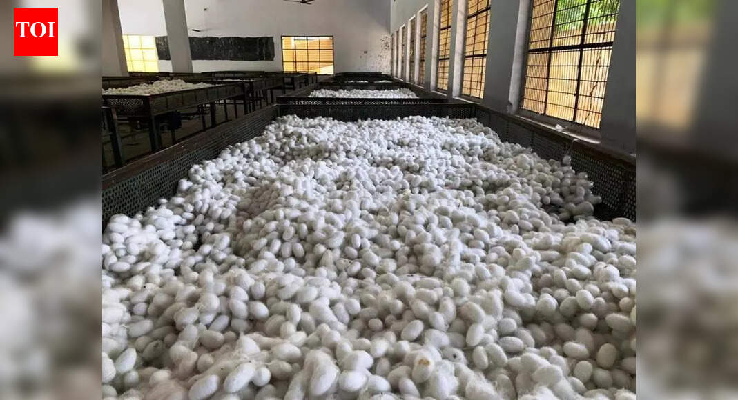 Advancing Sericulture: Embracing Know-how for Farmer Welfare