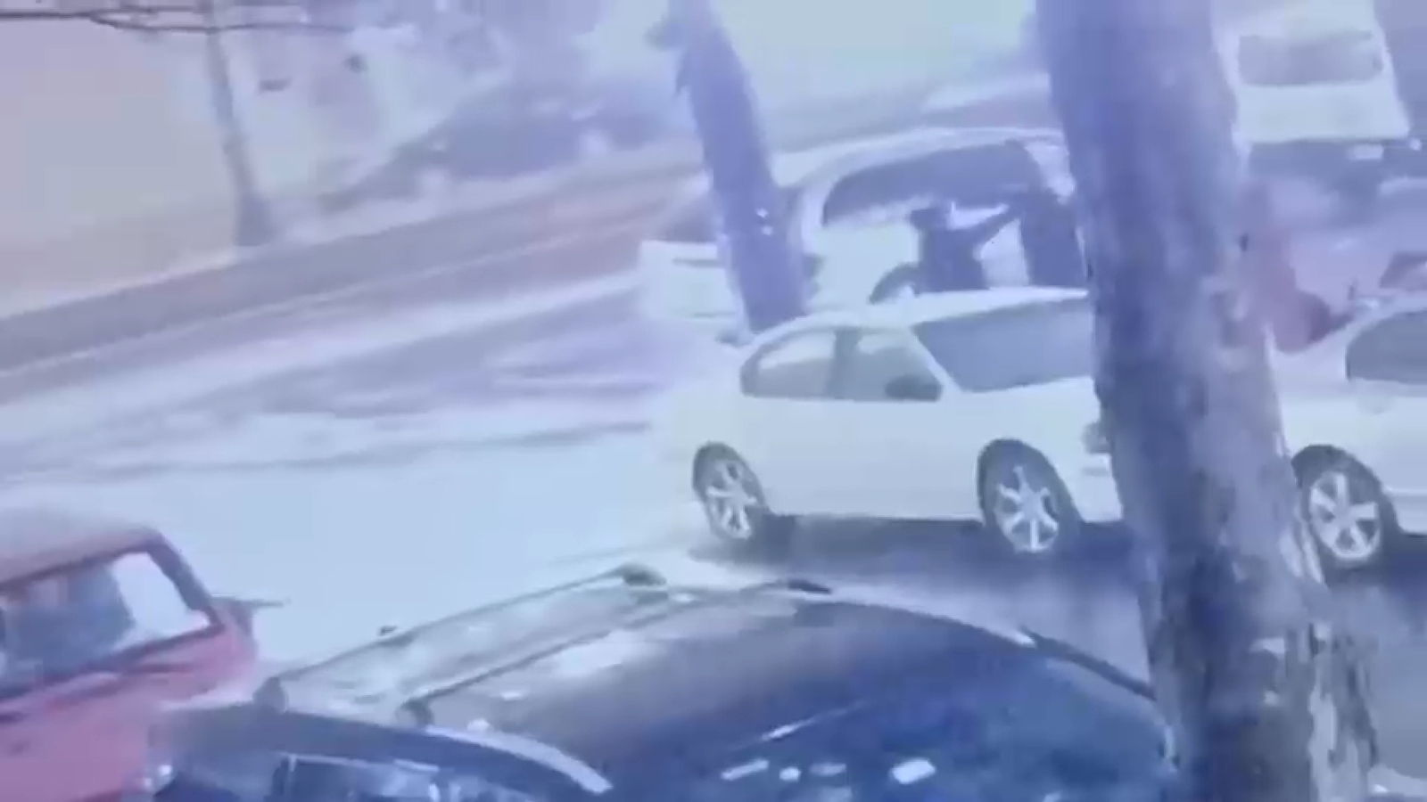 Teen from Notable Anti-Violence Household Injured in Brooklyn Mass Taking pictures