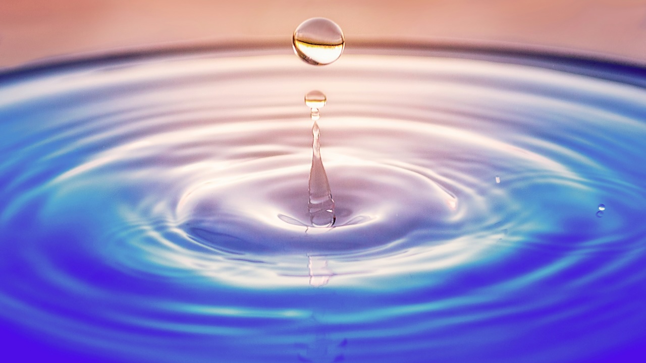 AI-Pushed Frontend Framework Developed by Inferno Vet