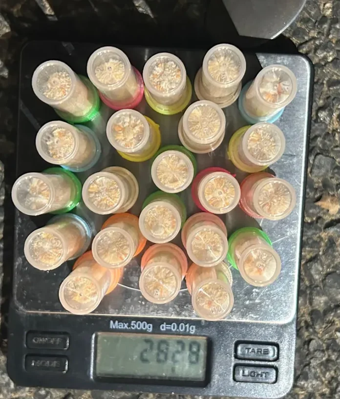Three Arrested in Heroin Bust