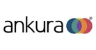Rework Your Enterprise: Associate with Ankura for Full Outcomes
