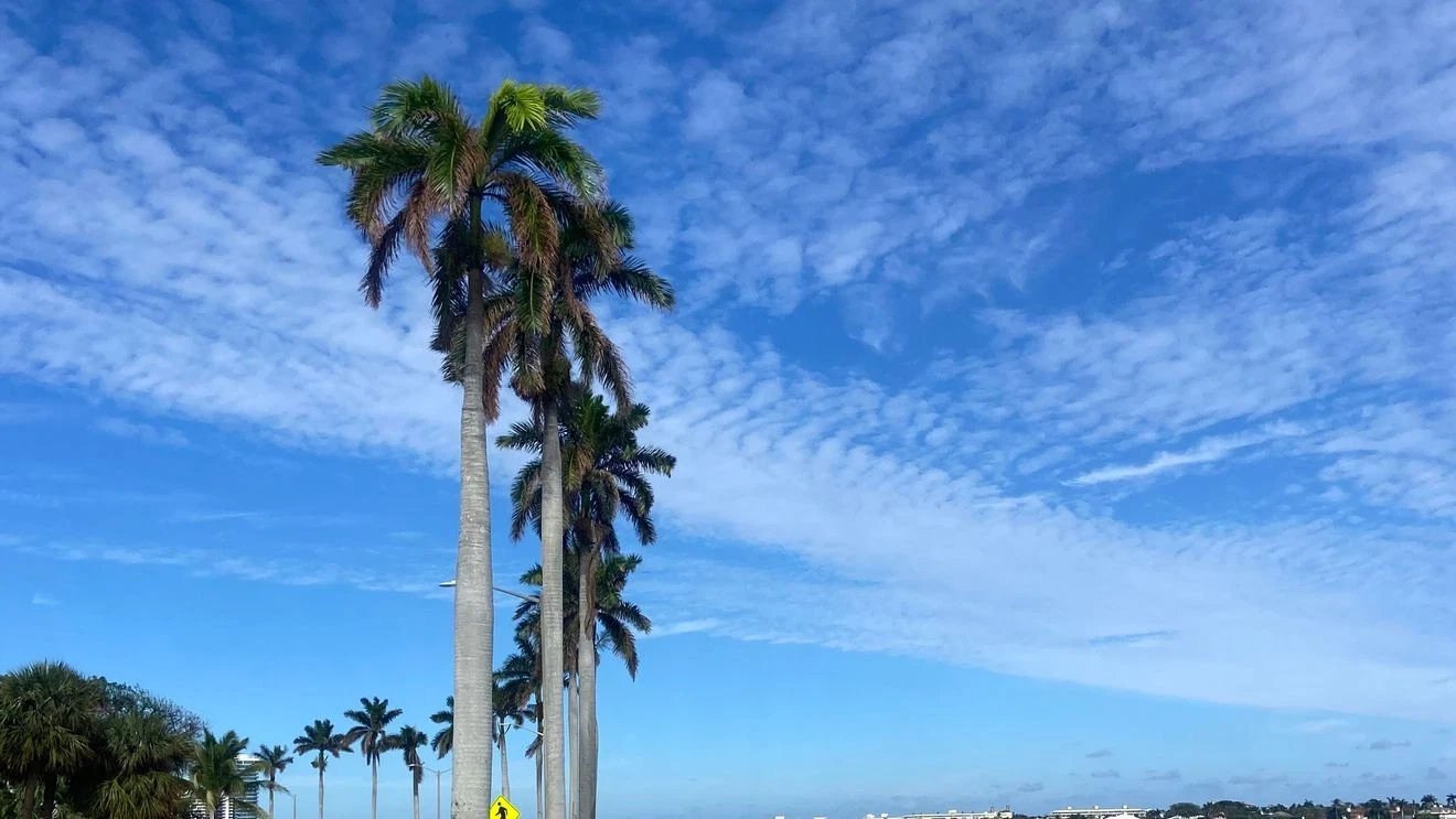 Upcoming Warm Weekend Before Impending Cold Front