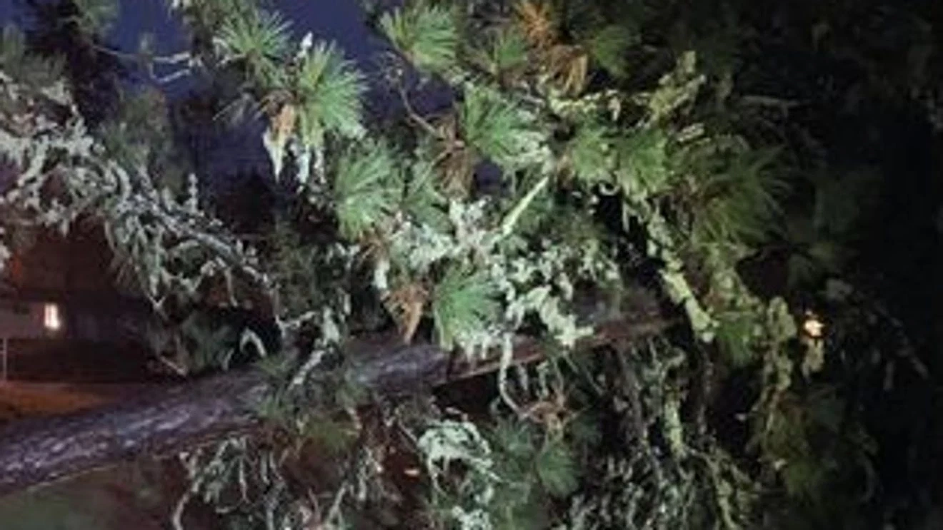 Oregon Faces College Delays and Highway Closures As a result of Extreme Climate