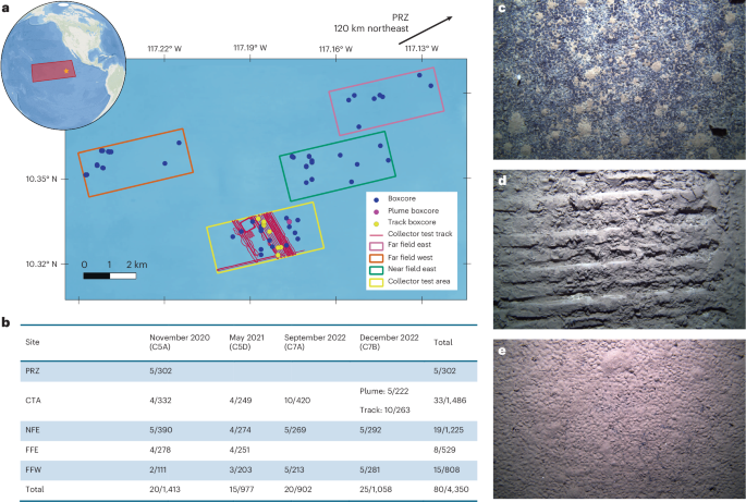 Effects of Industrial Deep-Sea Mining Trials on Macrofaunal Biodiversity