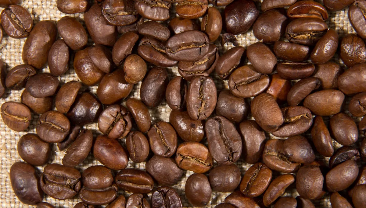 Brewing a Sustainable Future for Coffee
