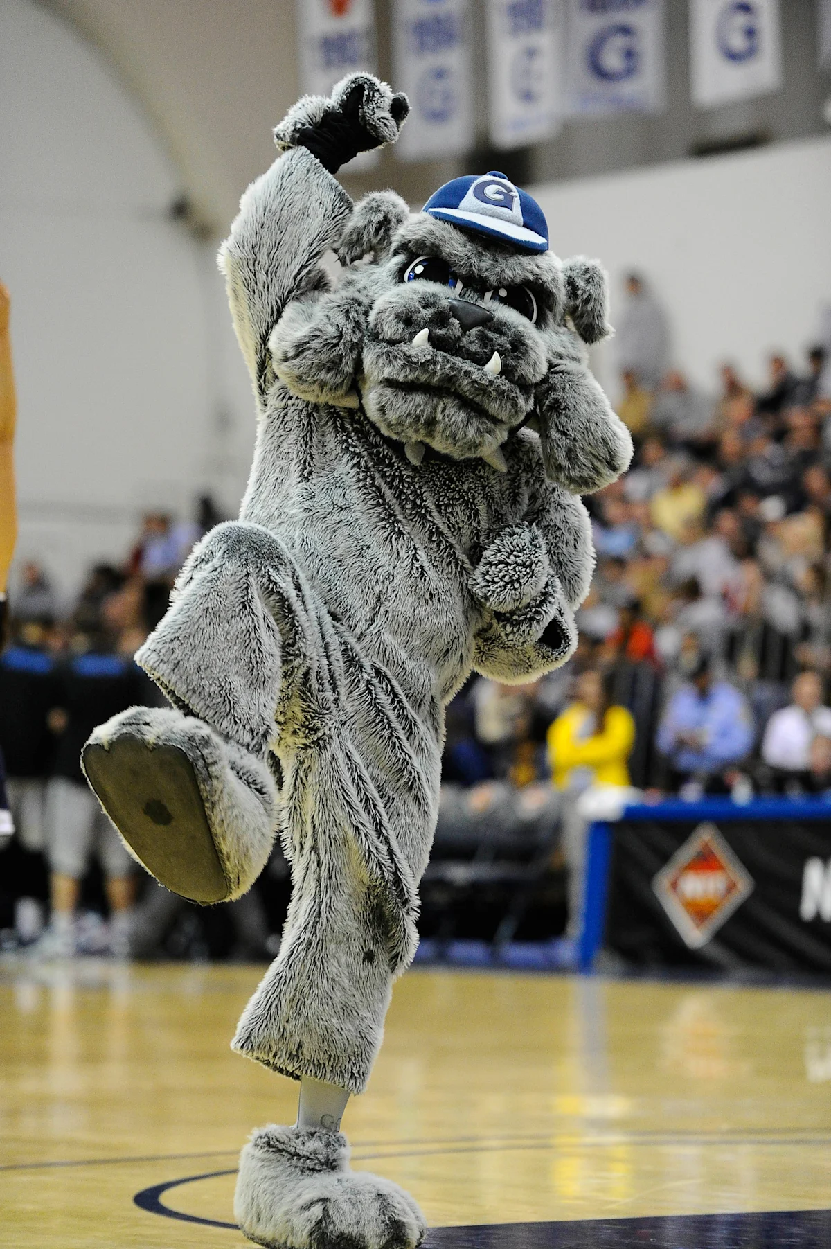 Georgetown Hoyas vs. St. Peter’s Peacocks: Sport Day Showdown