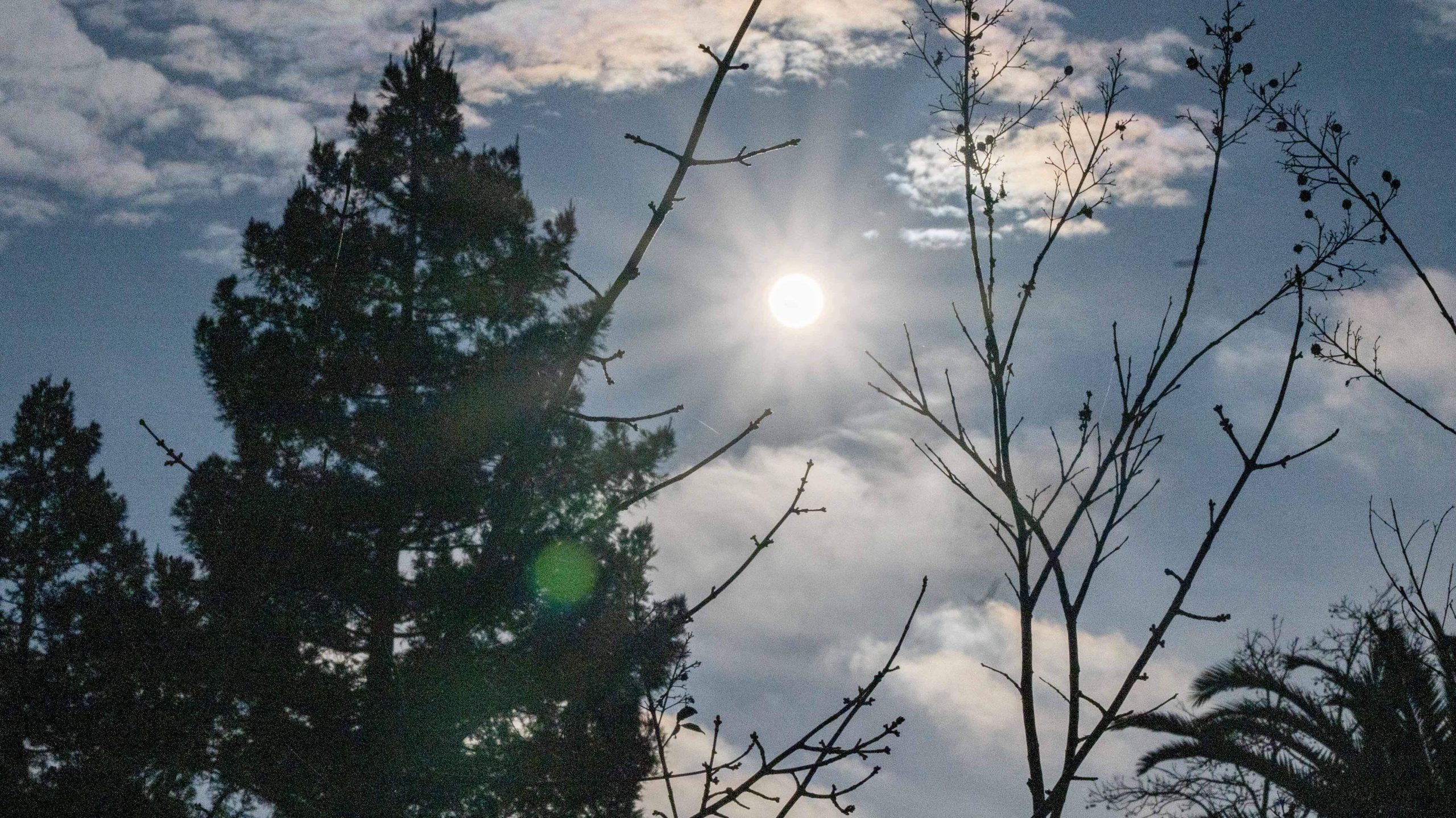 2025 Sees Sacramento’s Unprecedented 22-Day Gloomy Climate Streak