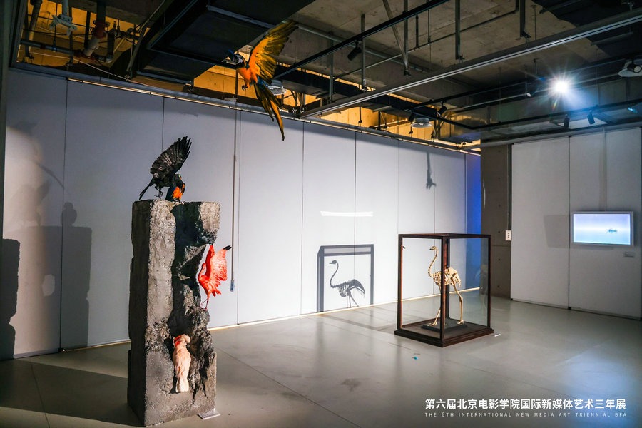 Artists Uniting Actuality and Future Experience