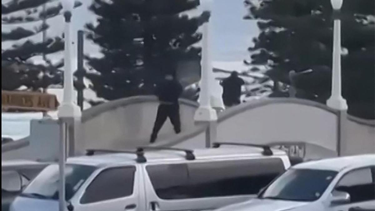 Tragedy at Bondi Seaside: Ten Lives Misplaced in Capturing Incident