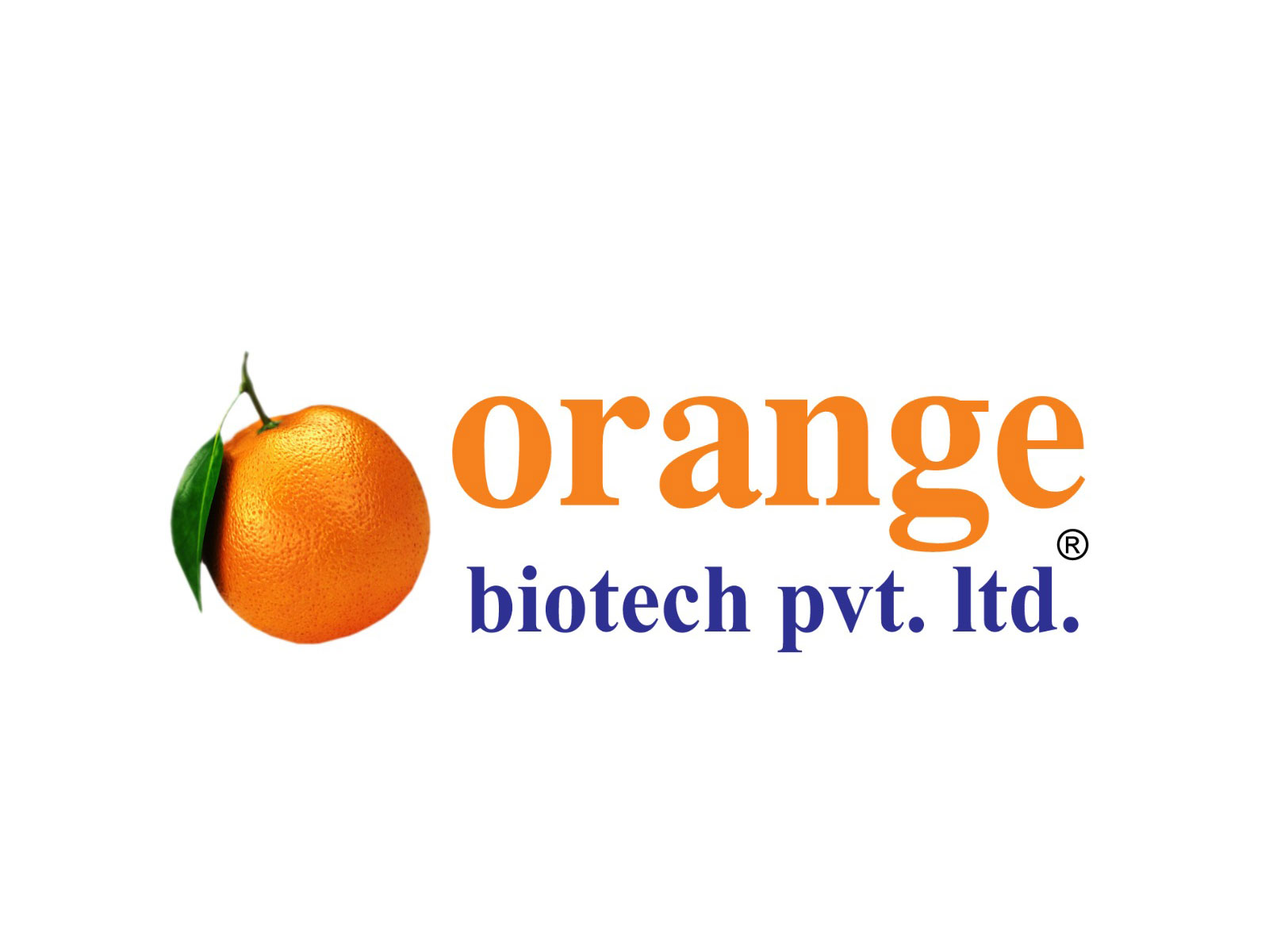 Excessive-Return PCD Pharma Franchise Alternatives from Orange Biotech Personal Restricted Nationwide