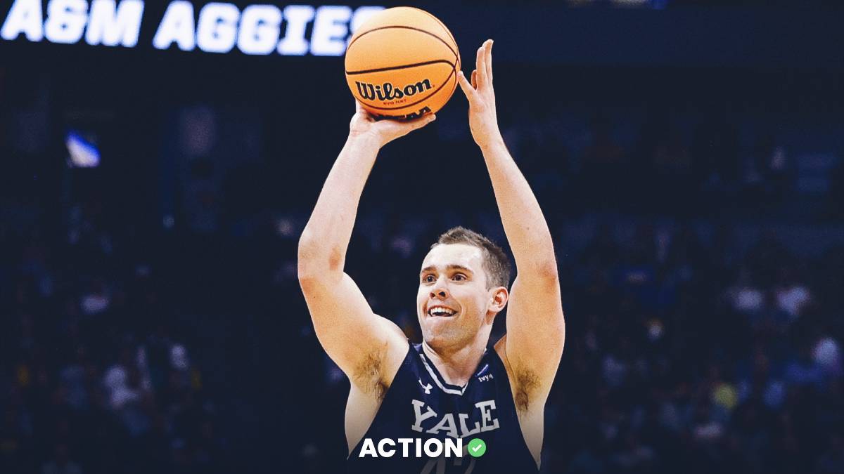 Albany vs. Yale: Recreation Preview, Predictions, and Betting Odds for December 10