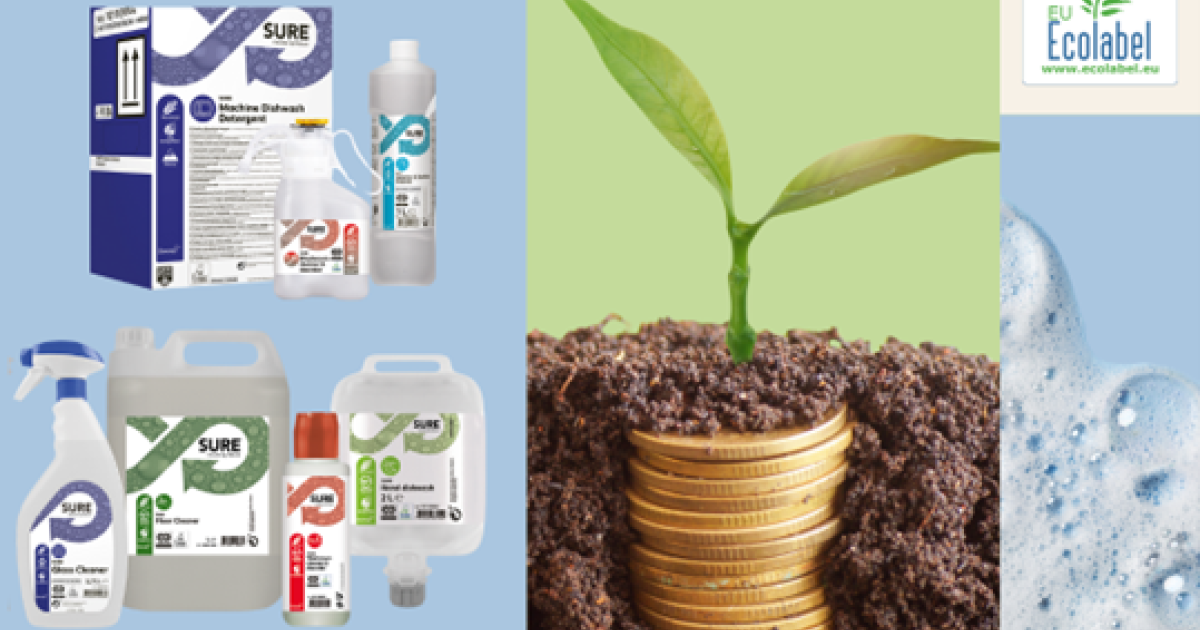 From Eco-Pleasant to Worthwhile: The Enterprise of Bio-Primarily based Detergents