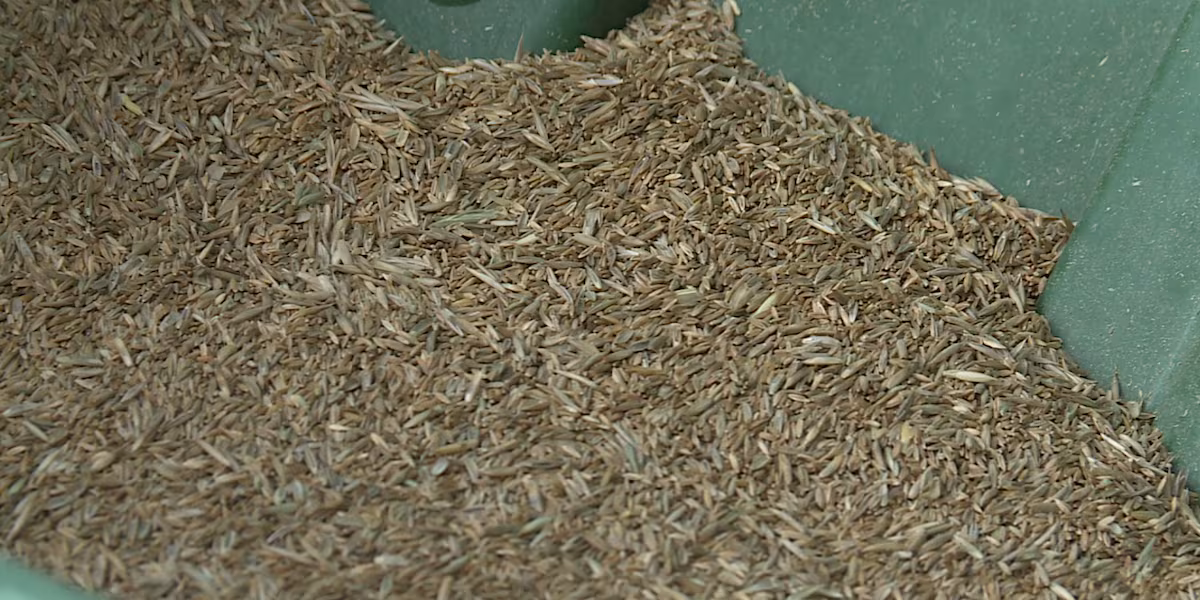 North Dakota Farmer Fined $60,000 for Seed Regulation Violations