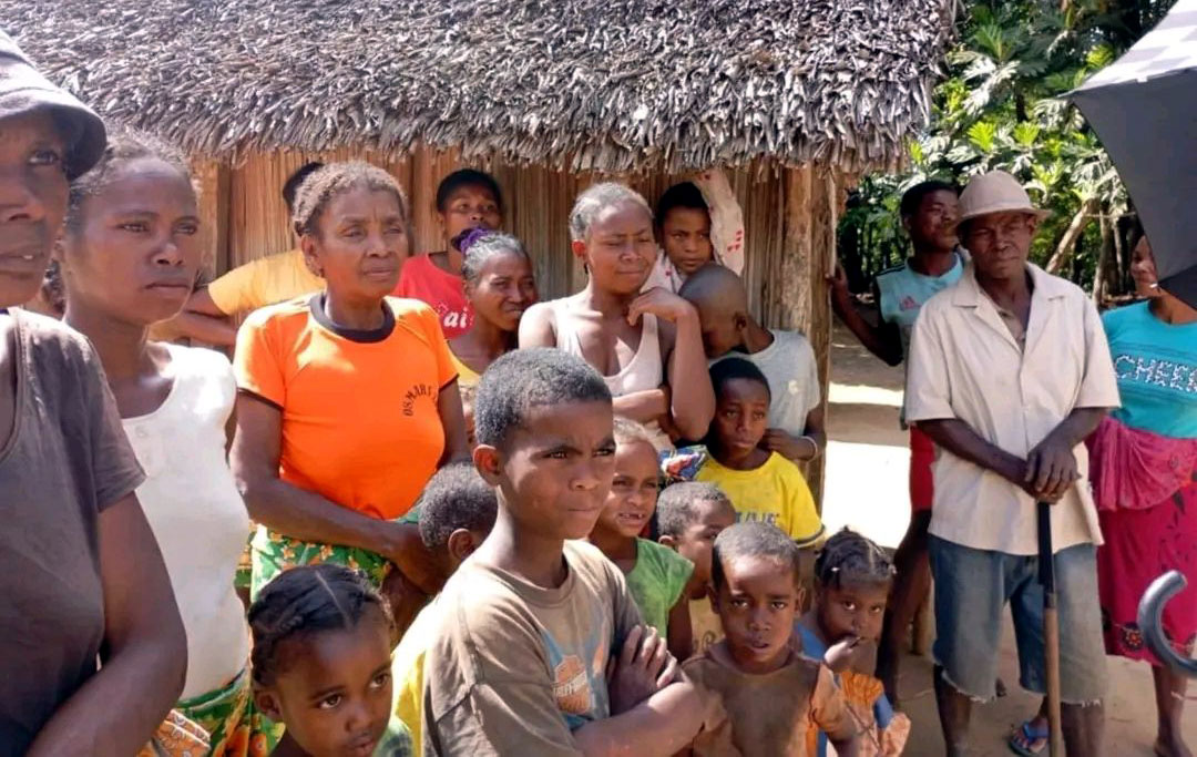 Révolution du Litchi : Vers une Transformation Sturdy
