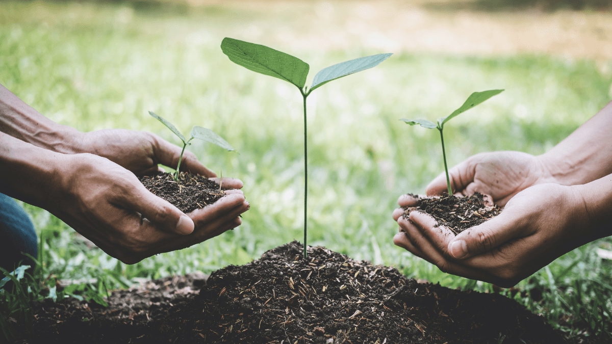 Sustainability in Action: How Indian Businesses are Adapting to Environmental Pressures