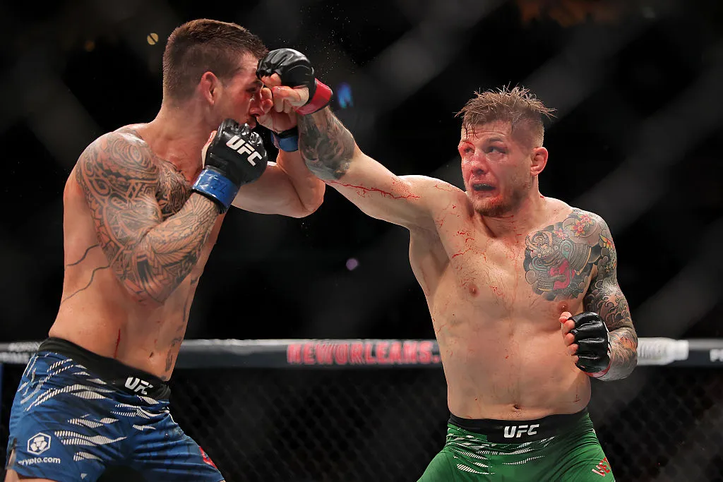 UFC 323 Preview: Marvin Vettori vs. Brunno Ferreira Fight Analysis