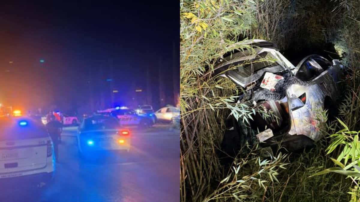 Indian-Origin Psychological Well being Platform Founder Arrested After Tesla Crash and Altercation with Police