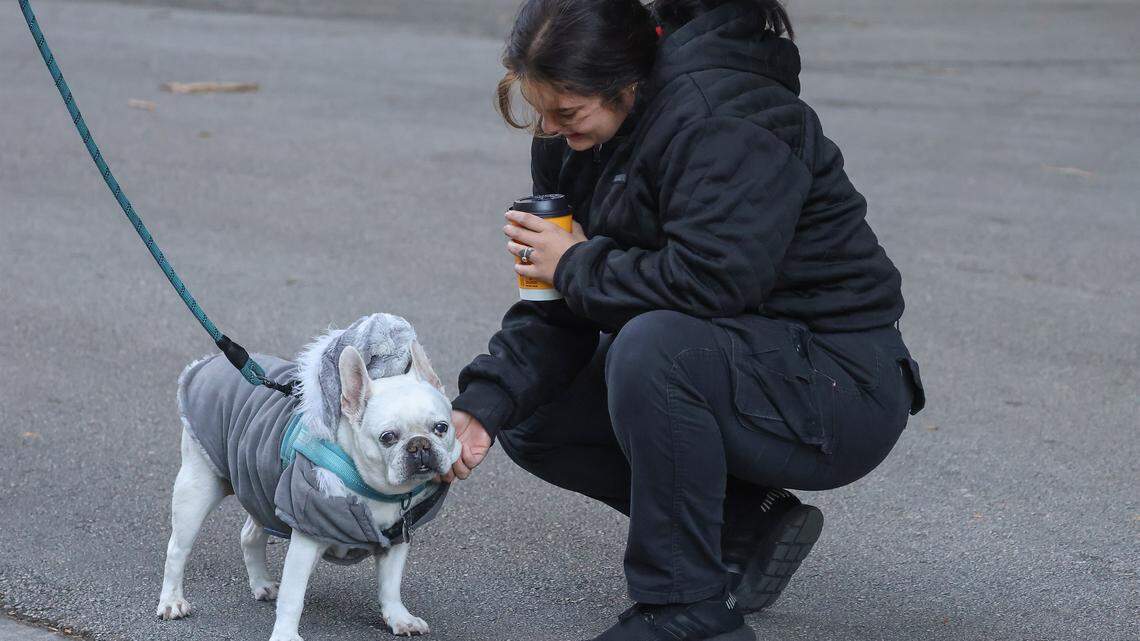 Miami Climate Replace: Chilly 50s and Clear Skies Forward