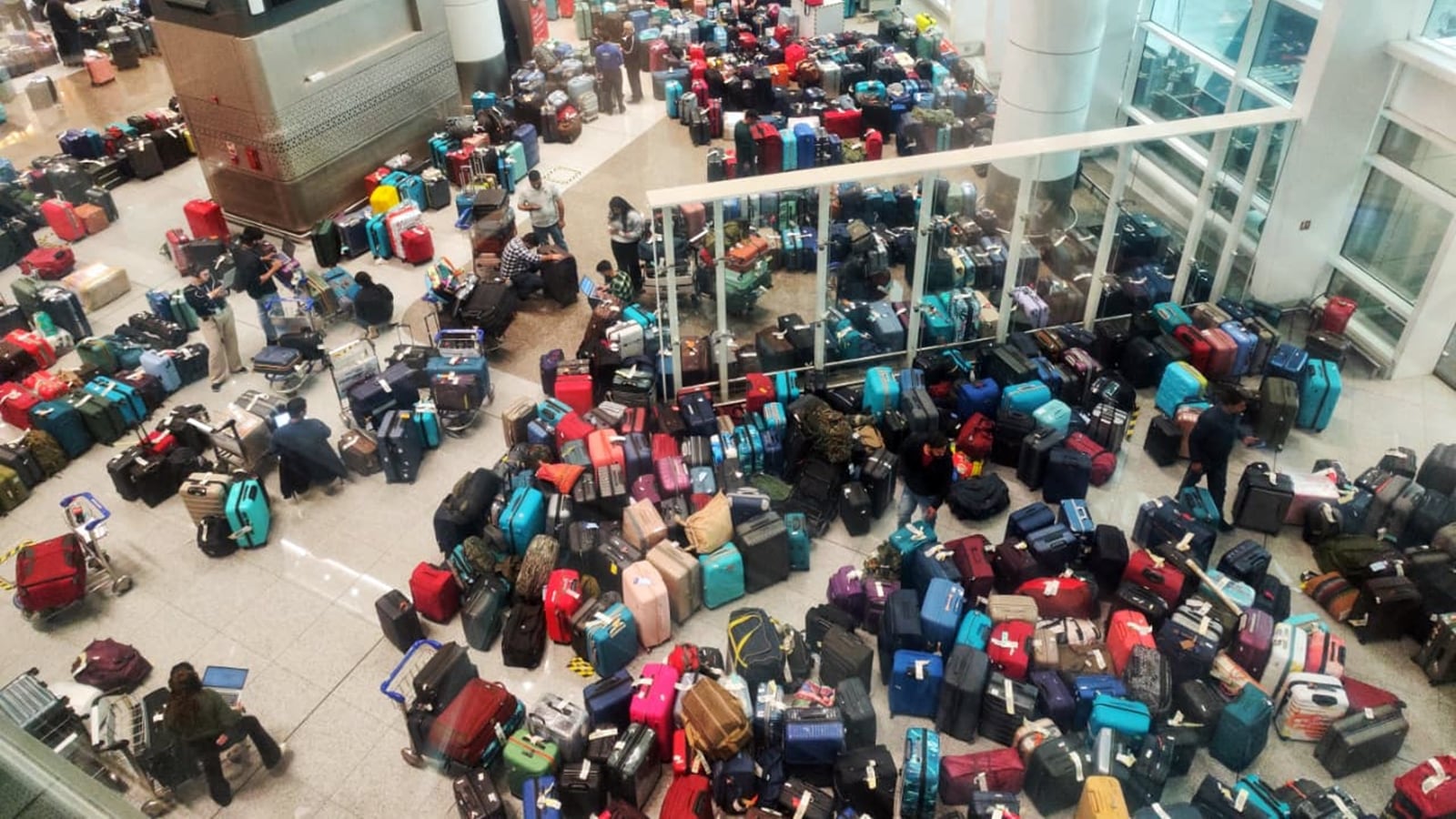 Concerns Raised About IndiGo Board and Risk Committee Amid Crisis