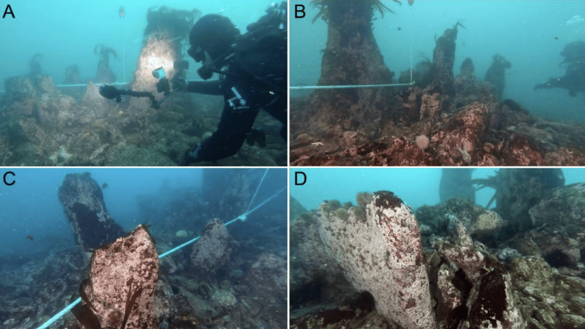 Historic Underwater Constructions Discovered off French Coast Relationship Again 7,000 Years
