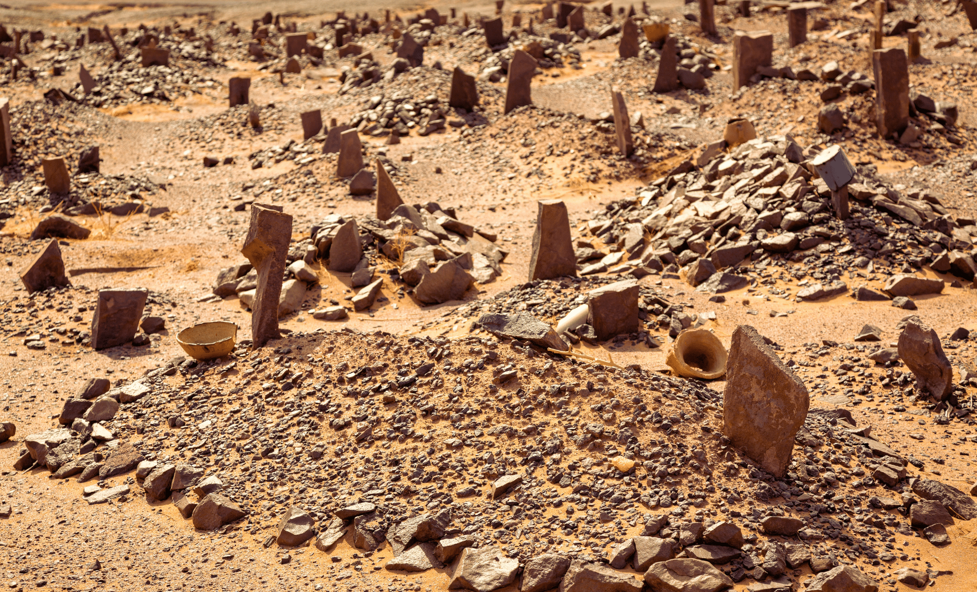 Historic Egyptian Pet Cemetery Found: A 2,000-Yr-Outdated Burial Website Unveiled