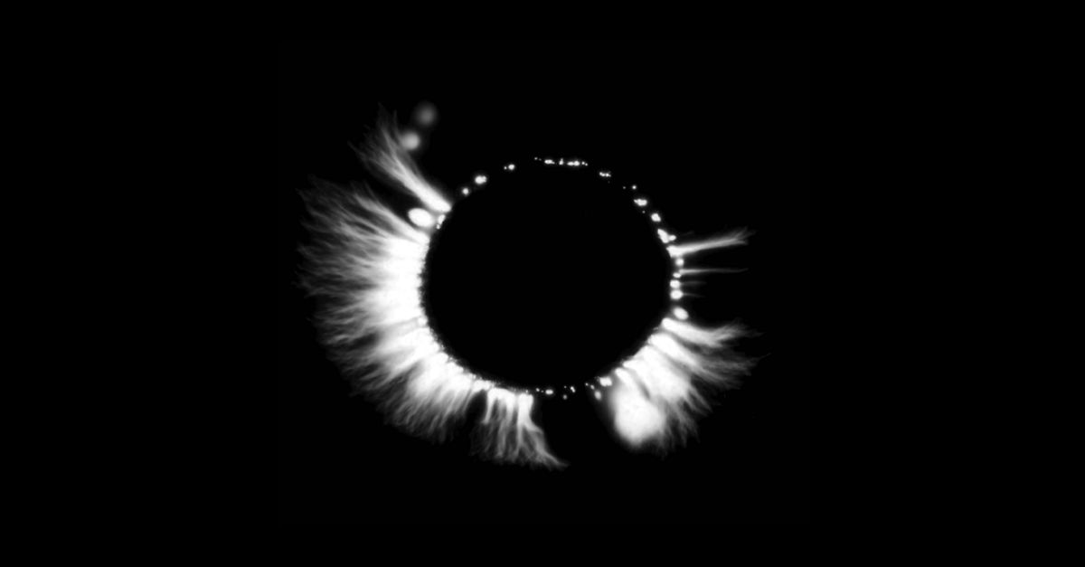 Art Market Insights: Key Highlights from the Finance Report