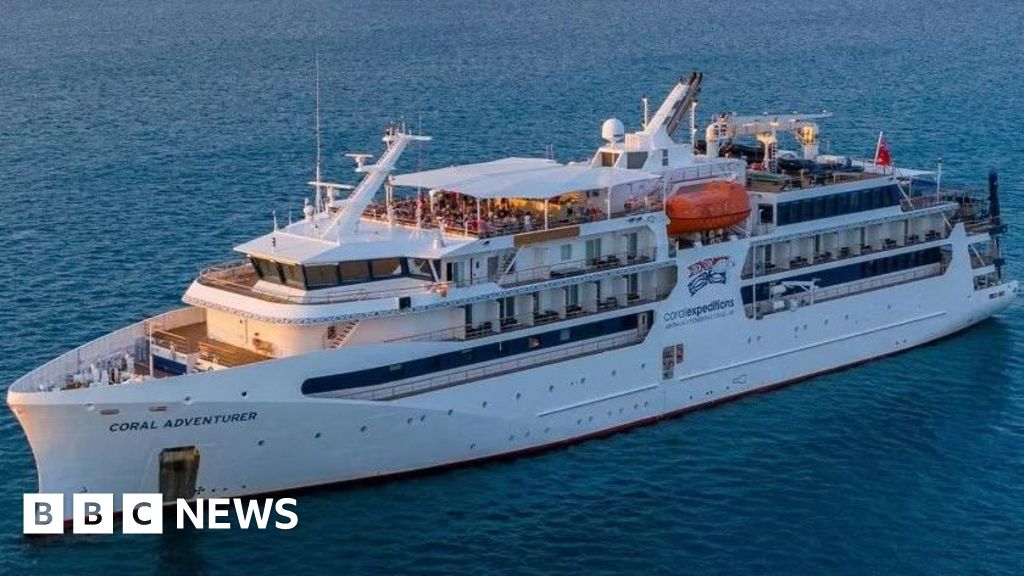 Cruise Ship Strikes Reef on Its Inaugural Voyage After Passenger Left Behind