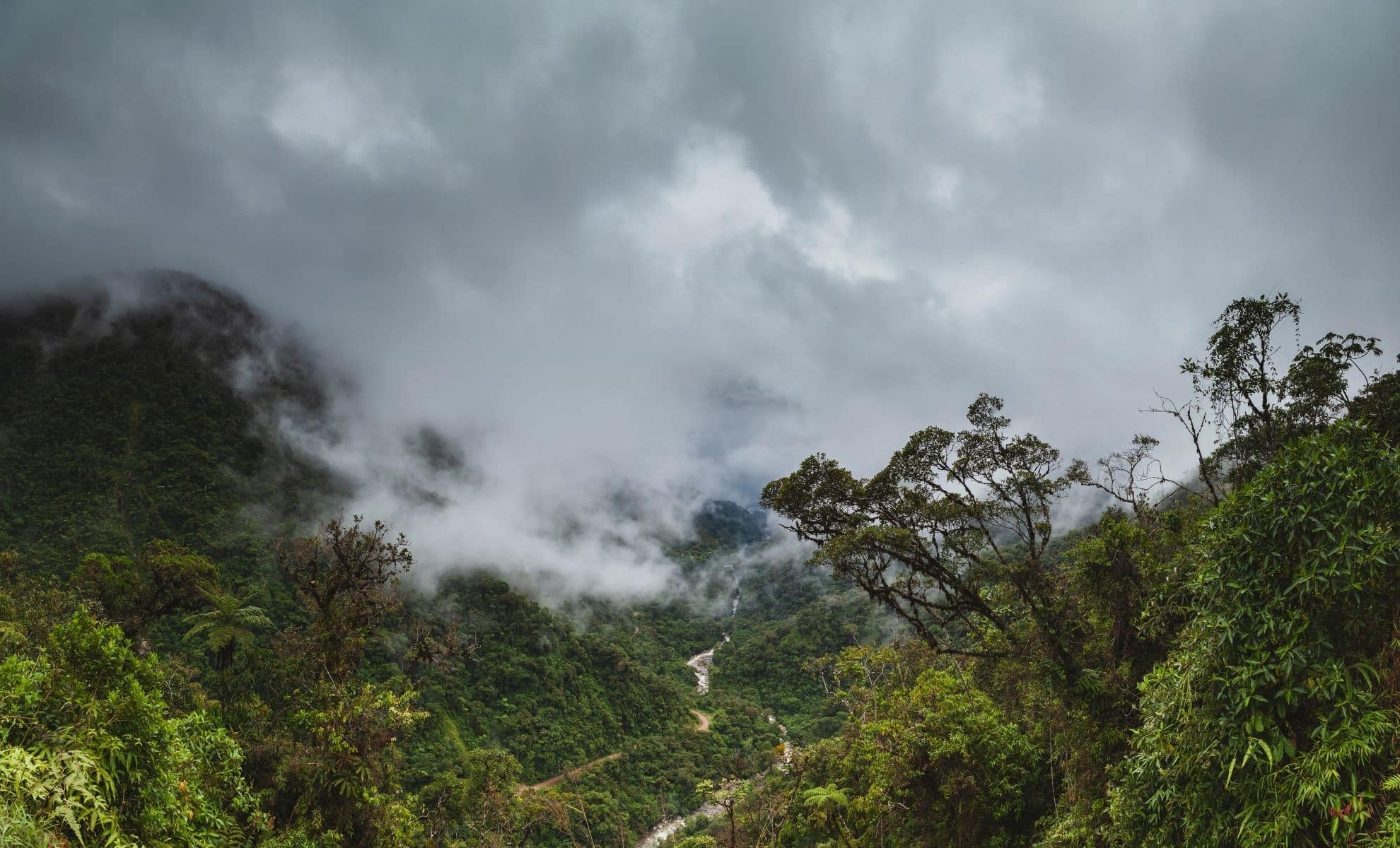 Revealing the Past: Archaeologists Uncover 100 Structures of an Ancient City in Peru’s Cloud Forest
