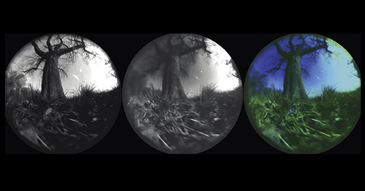 Exploring Animal Perception: Harnessing Generative AI in Ecological Neuroscience