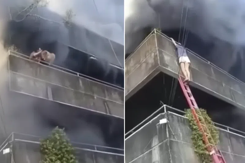 Filipino Pet Proprietor Heroically Saves Canines in Fiery Third-Ground Rescue