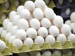 Investigation Launches into Claims of Adulterated Eggs in Market