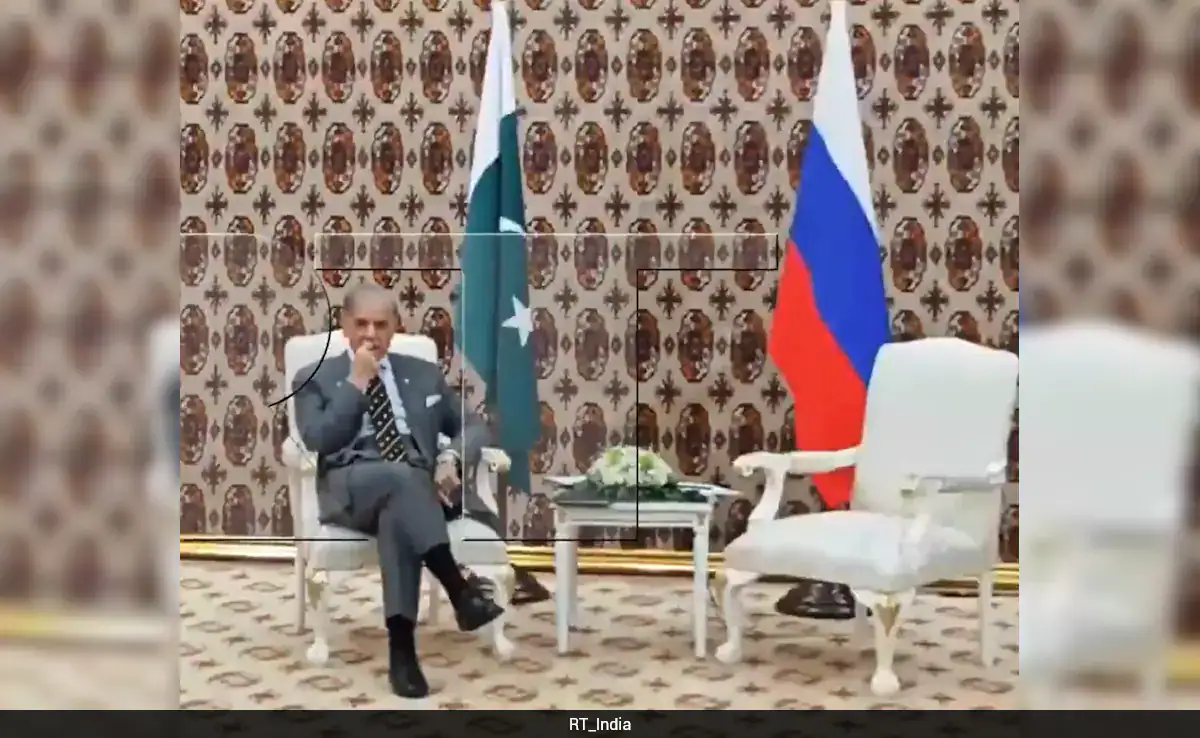 Truth Examine: Did Pakistan PM Shehbaz Sharif Disrupt Vladimir Putin’s Personal Assembly?