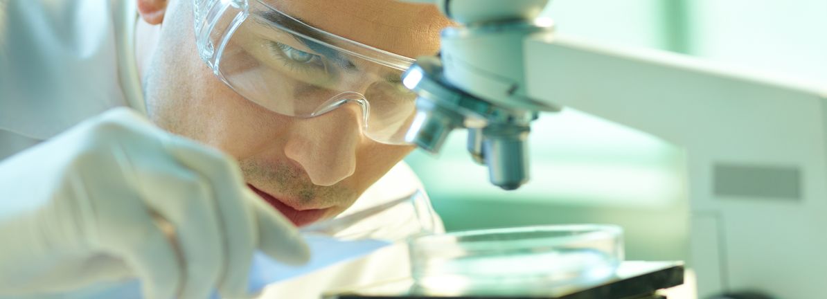 Tilray (TLRY) Valuation Replace: Affect of New Vape Launch and Florida Residence-Develop Invoice Developments