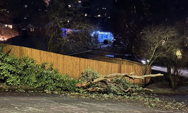 West Seattle Weather Update: Wind Advisory Issued for Monday