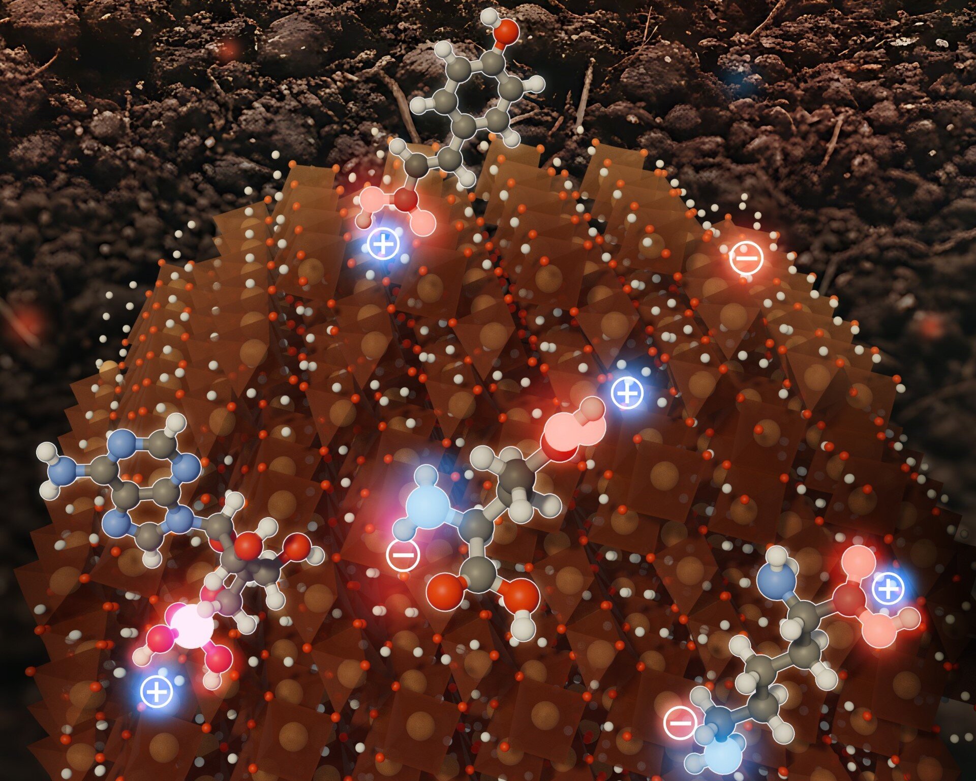 Unlocking Carbon Seize: The Position of Iron Minerals in Soil Chemistry