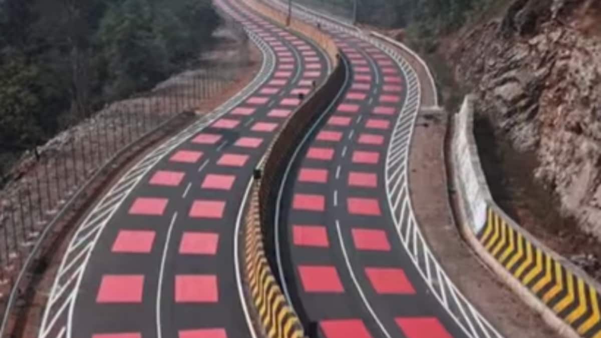 Unseen Safeguards: How a Freeway Protects Wildlife Past Main Cities