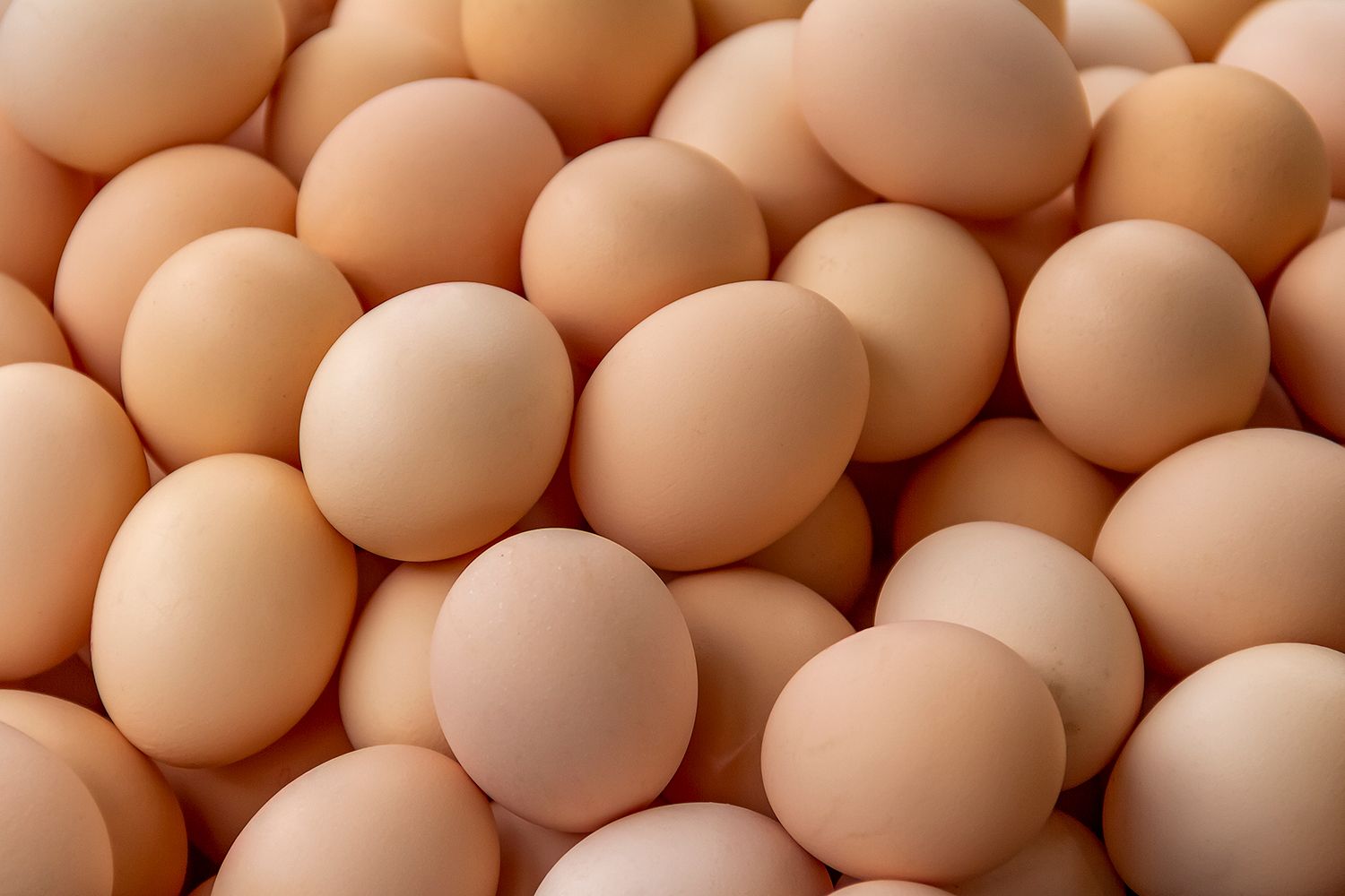 Egg Recall Alert: Salmonella Contamination Threat