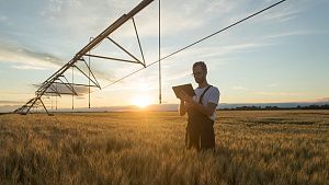 Revolutionizing Farming: Kazakhstan’s Innovative Use of Drainage Water for Sustainable Irrigation