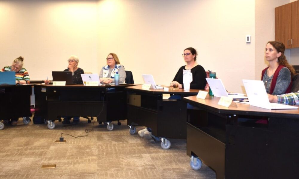 Dad and mom Voice Considerations at SCSD#3 Board Assembly