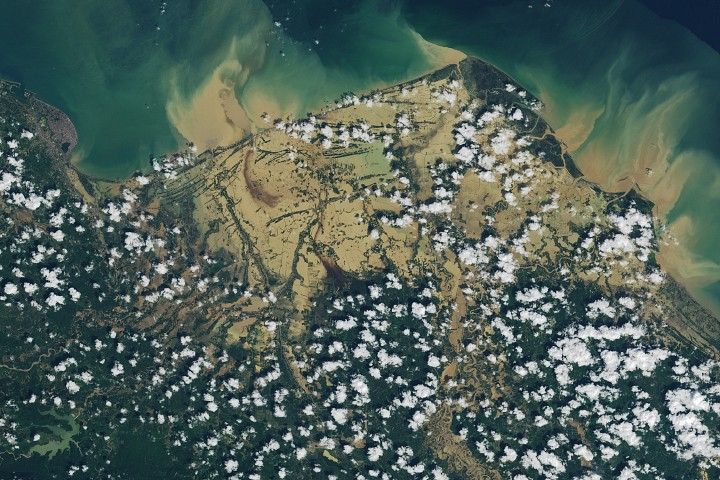 Exploring the Senyar Swamps of Sumatra: A NASA Perspective